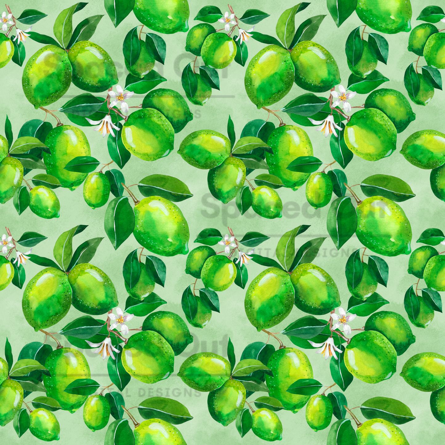 Limes