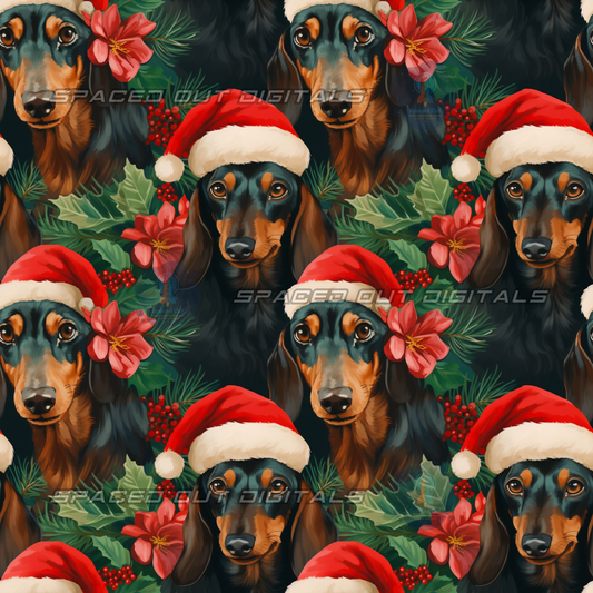 Dachshunds Christmas