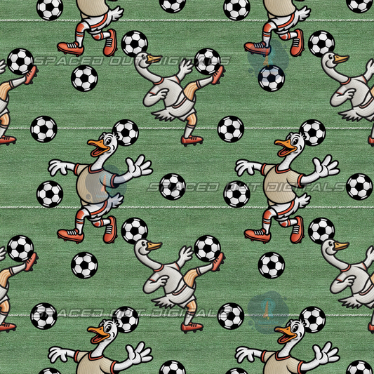Silly Goose Soccer