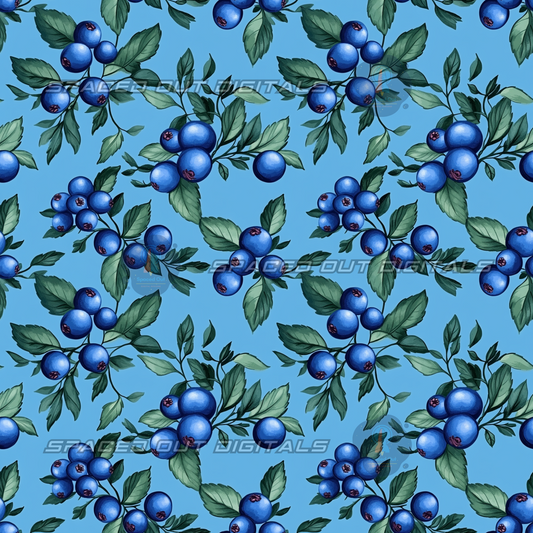 Blueberries