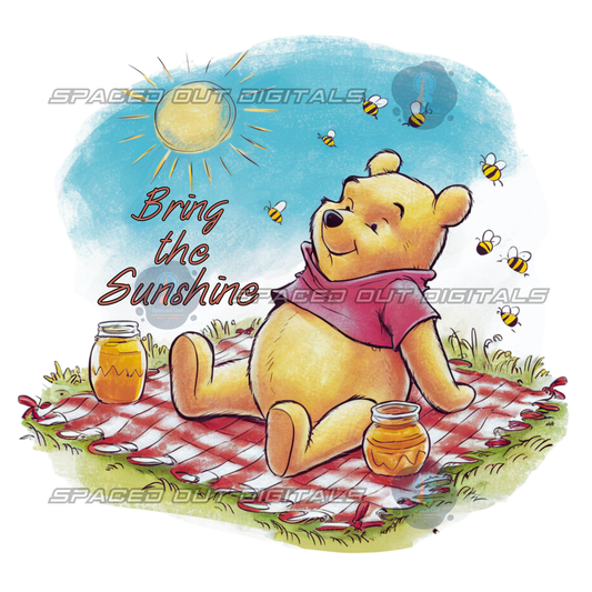 Bring The Sunshine PNG