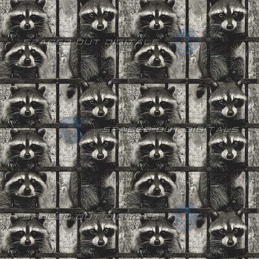 Jailbird Raccoons