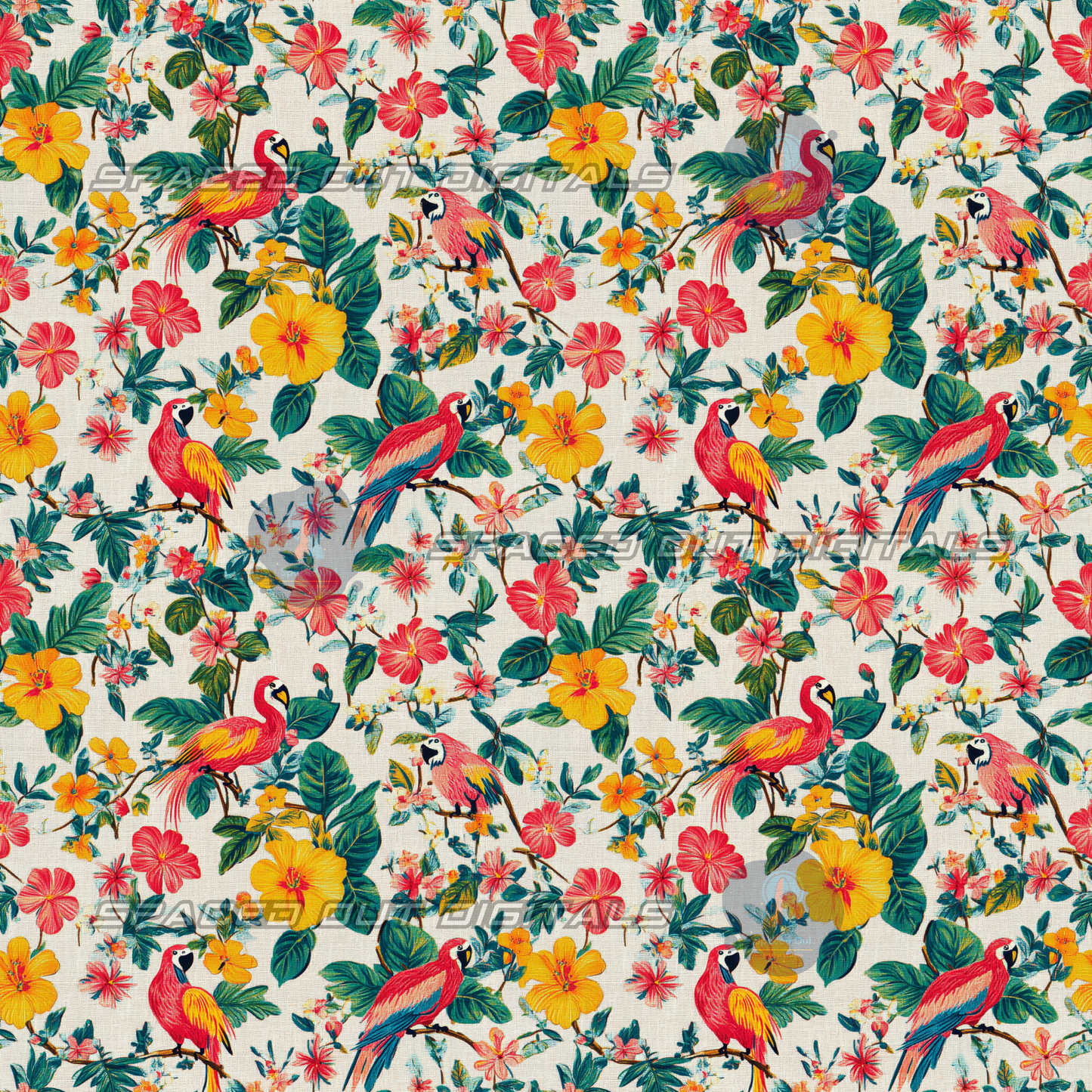 Tropical Birds
