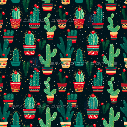 Christmas Cactus