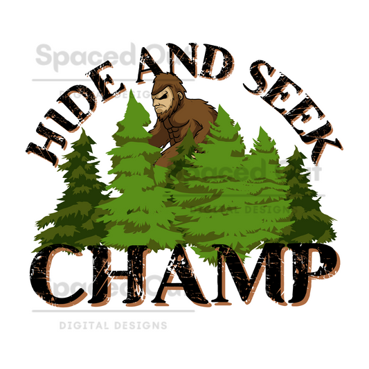 Hide & Seek Champ PNG