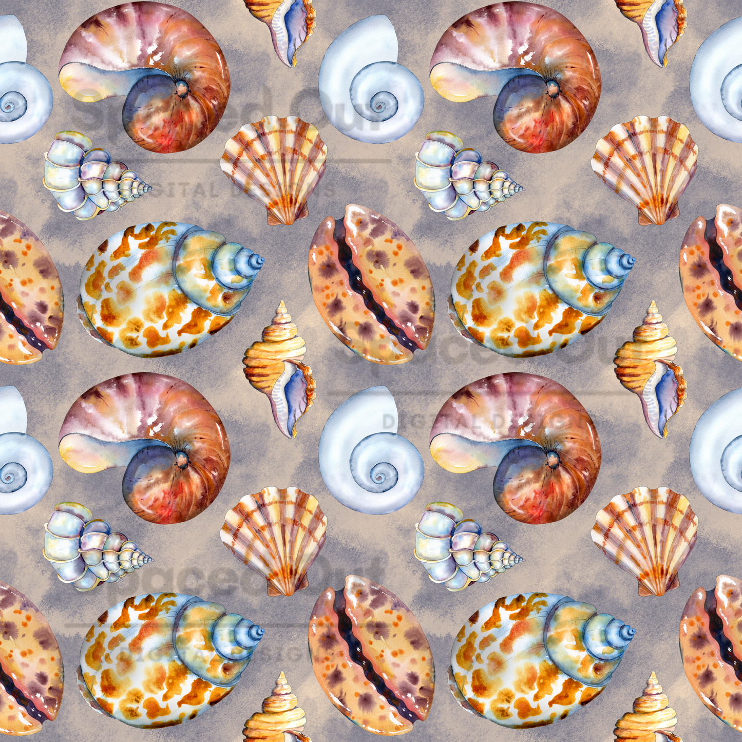 Sea Shells
